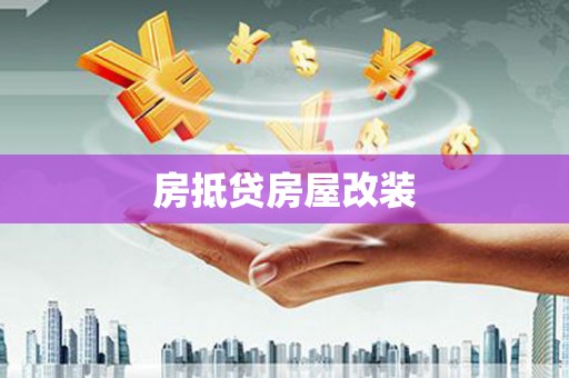 新蔡房抵贷房屋改装