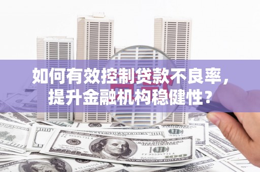 汤旺河如何有效控制贷款不良率，提升金融机构稳健性？