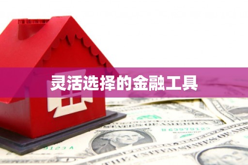 合阳灵活选择的金融工具